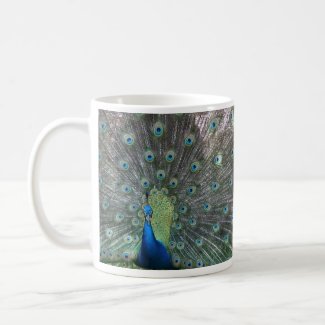 Peacock male in full fan photograph mug