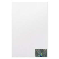 Peacock male in full fan photograph stationery design