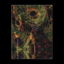 Peacock Marble Postcards postcards