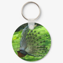peacock mating dance keychains