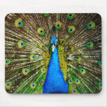 Peacock Mousepad by Lenny46824 Peacock Mousepad