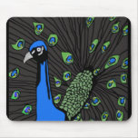 Peacock mousepads