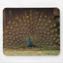 Peacock mousepad by Jrcphoto Peacock mousepad