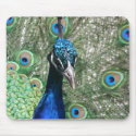 peacock mousepad by briannasphotography peacock mousepad