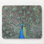 Peacock Mousepad
