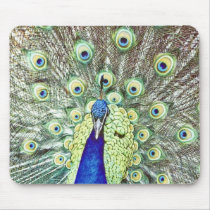 Peacock Mousepad