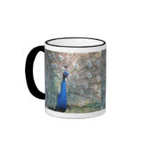 Peacock mug