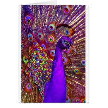 Peacock of a million colors greeting card