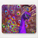 Peacock of a million colors mouse pad