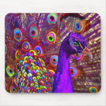 Peacock of a million colors mouse pad
