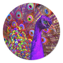 Peacock of a million colors stickers by rszarka Peacock of a million colors stickers