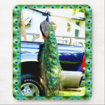 Peacock on a Pickup Mousepad mousepads