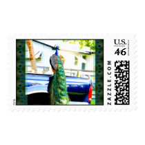Peacock on a Pickup Postage postage