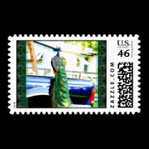 Peacock on a Pickup Postage stamps