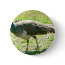 Peacock On Grass buttons