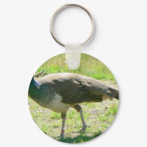 Peacock On Grass keychains by lifesphere Peacock On Grass keychains