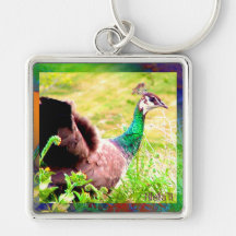 Peacock on Parade Keychains