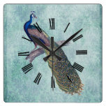 Peacock on Watercolor Damask Aqua Teal Square Wall Clocks