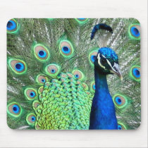 PEACOCK PEAFOWL PHOTO mousepads by Sofia_Youshi PEACOCK PEAFOWL PHOTO mousepads