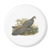 Peacock Pheasant Refrigerator Magnets