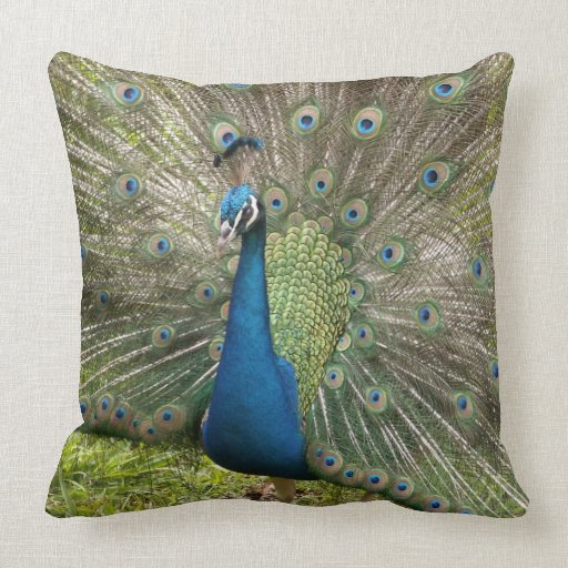 Peacock Pillow