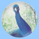 Peacock plates