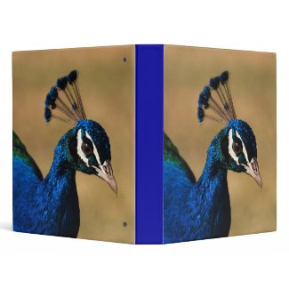 Peacock Plumage - customizable template binder