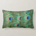 Peacock plumage throw pillow