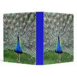 Peacock Plume Binder