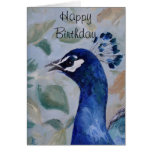 Peacock Portrait Birthday Card