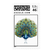 Peacock postage