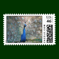 Peacock Postage postage