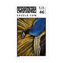 PEACOCK stamps