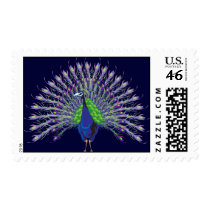 Peacock Postage Stamps