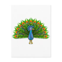 Peacock Postcards