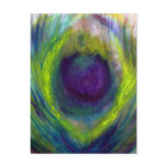 Peacock Postcard