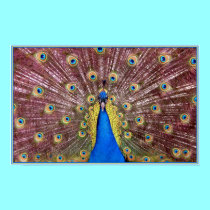Peacock posters by Artists4God Peacock posters