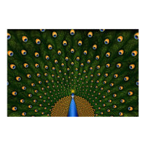 Peacock posters by vladstudio Peacock posters