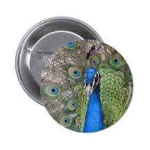 Peacock Round Button