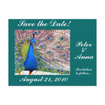 Peacock Save the Date Postcard