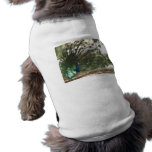Peacock Showoff Dog T-shirt