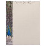 Peacock Side Personalized Letterhead