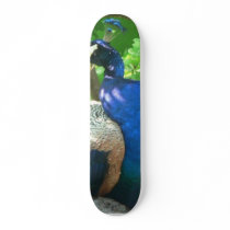 Peacock skateboards by lifesphere Peacock skateboards