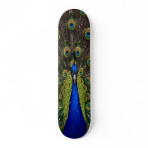 peacock skateboard by jvinnyg peacock skateboard