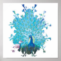 Peacock spirit posters