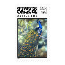 Peacock Stamp
