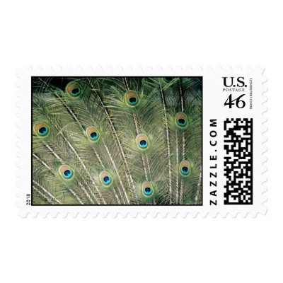 peacock stamp by Russ45