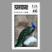 Peacock stamp