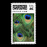 Peacock Stamp V