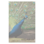Peacock stationery